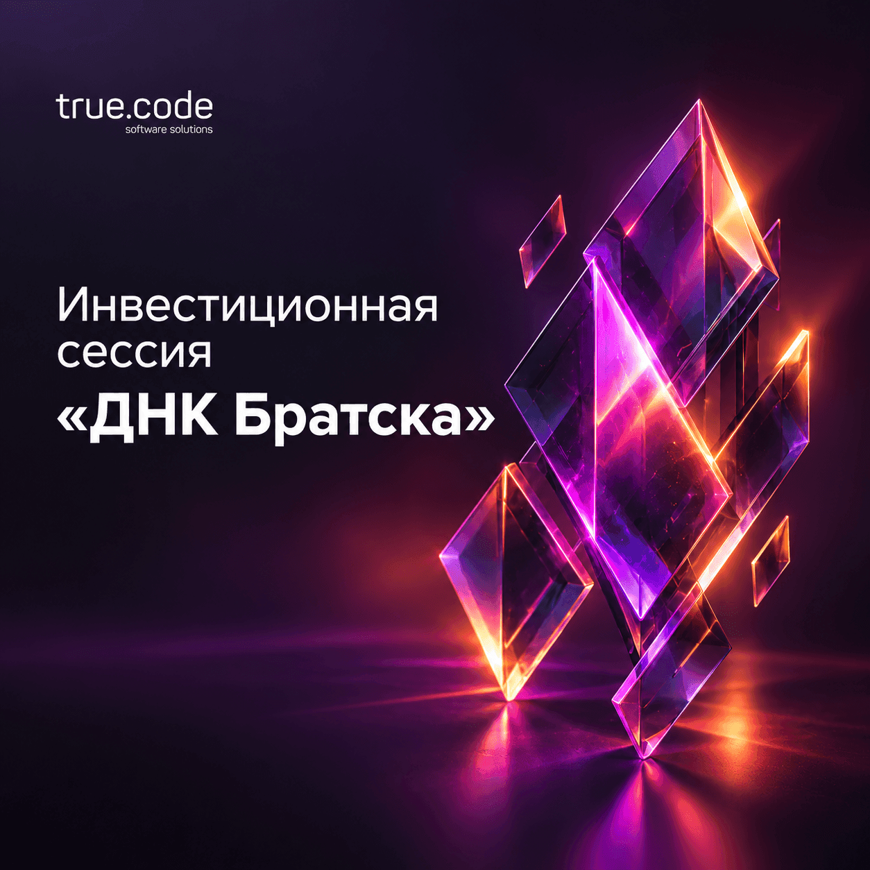 Инвестиционная сессия ДНК Братска